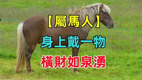 屬馬的財位|屬馬文昌位財位全解析：方位、吉祥物與養生之道